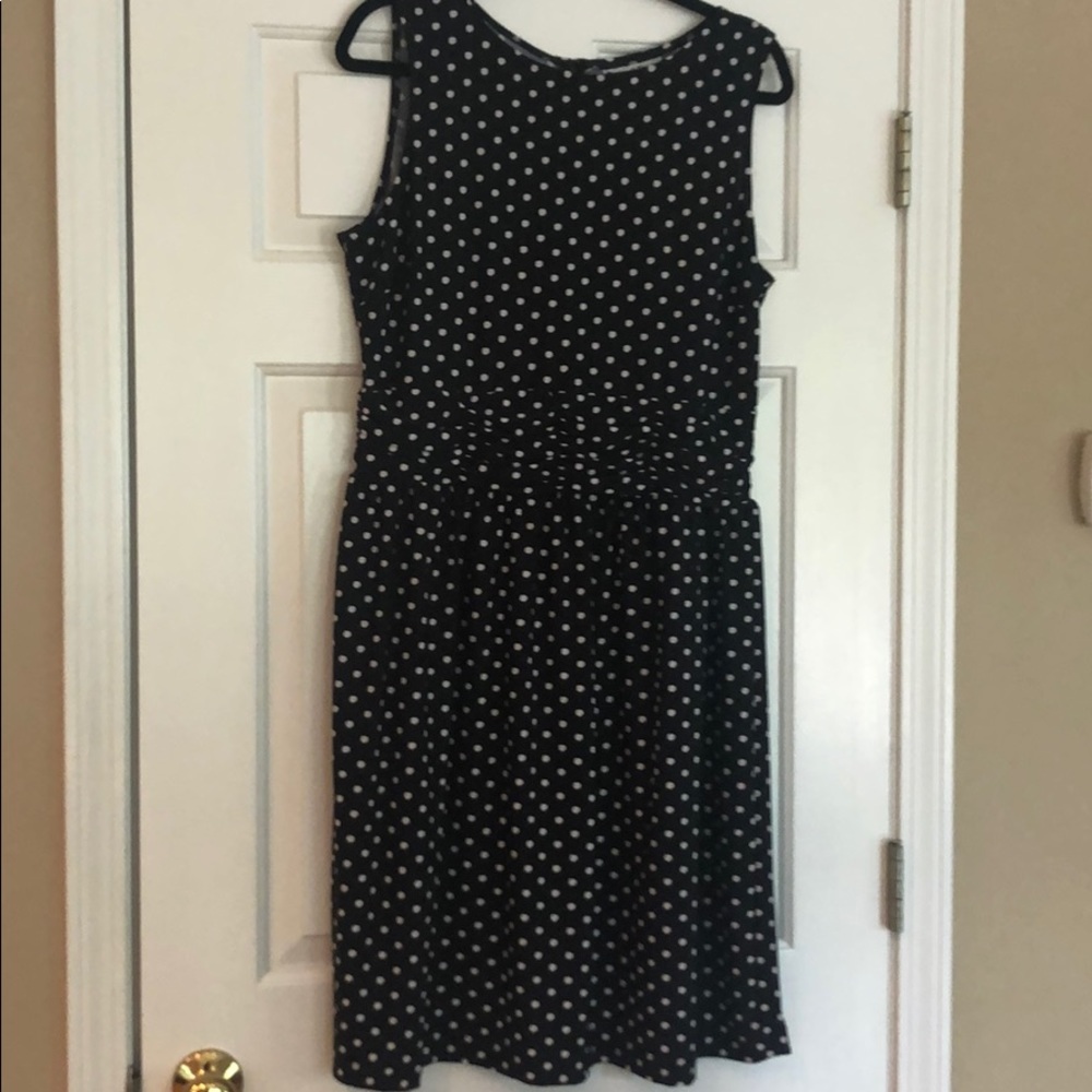 Polka Dot Sleeveless Dress (zip in back)